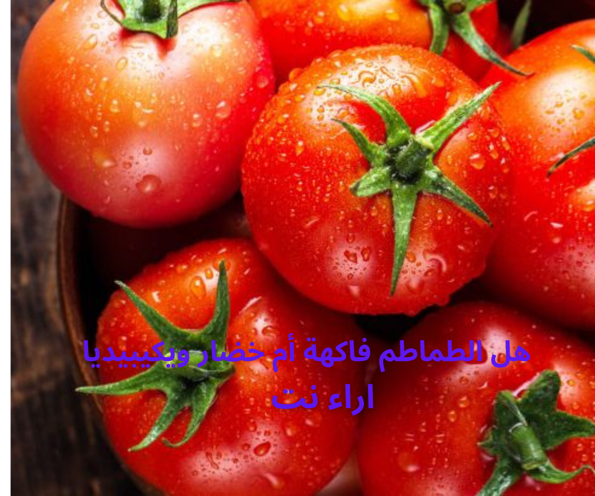 هل الطماطم فاكهة أم خضار ويكيبيديا