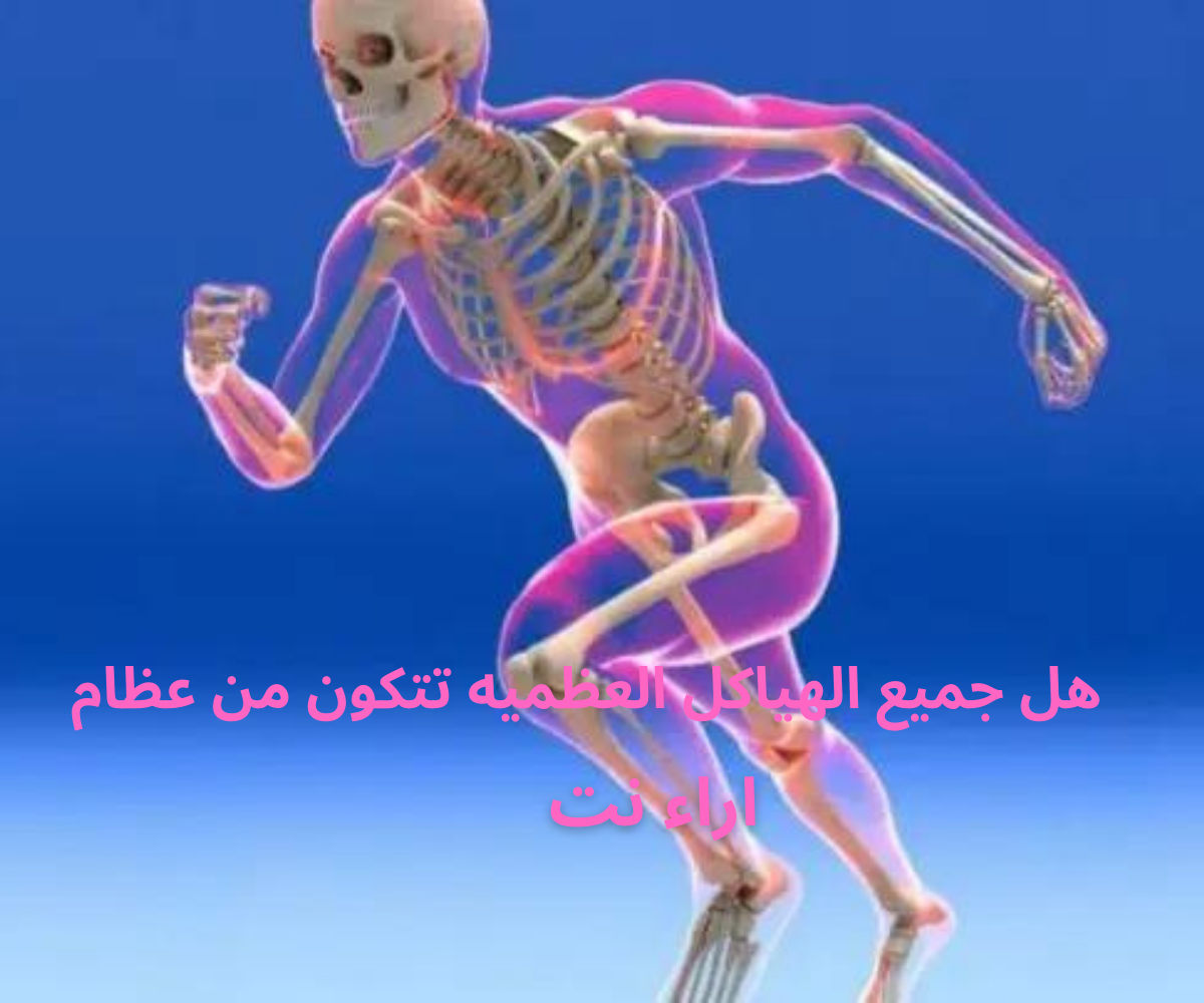 هل جميع الهياكل العظميه تتكون من عظام