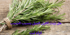 هل زيت اكليل الجبل يسبب الشيب