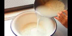 هل يمكن استخدام ماء الأرز للشعر يوميًا