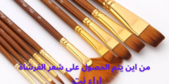 من اين يتم الحصول على شعر الفرشاة