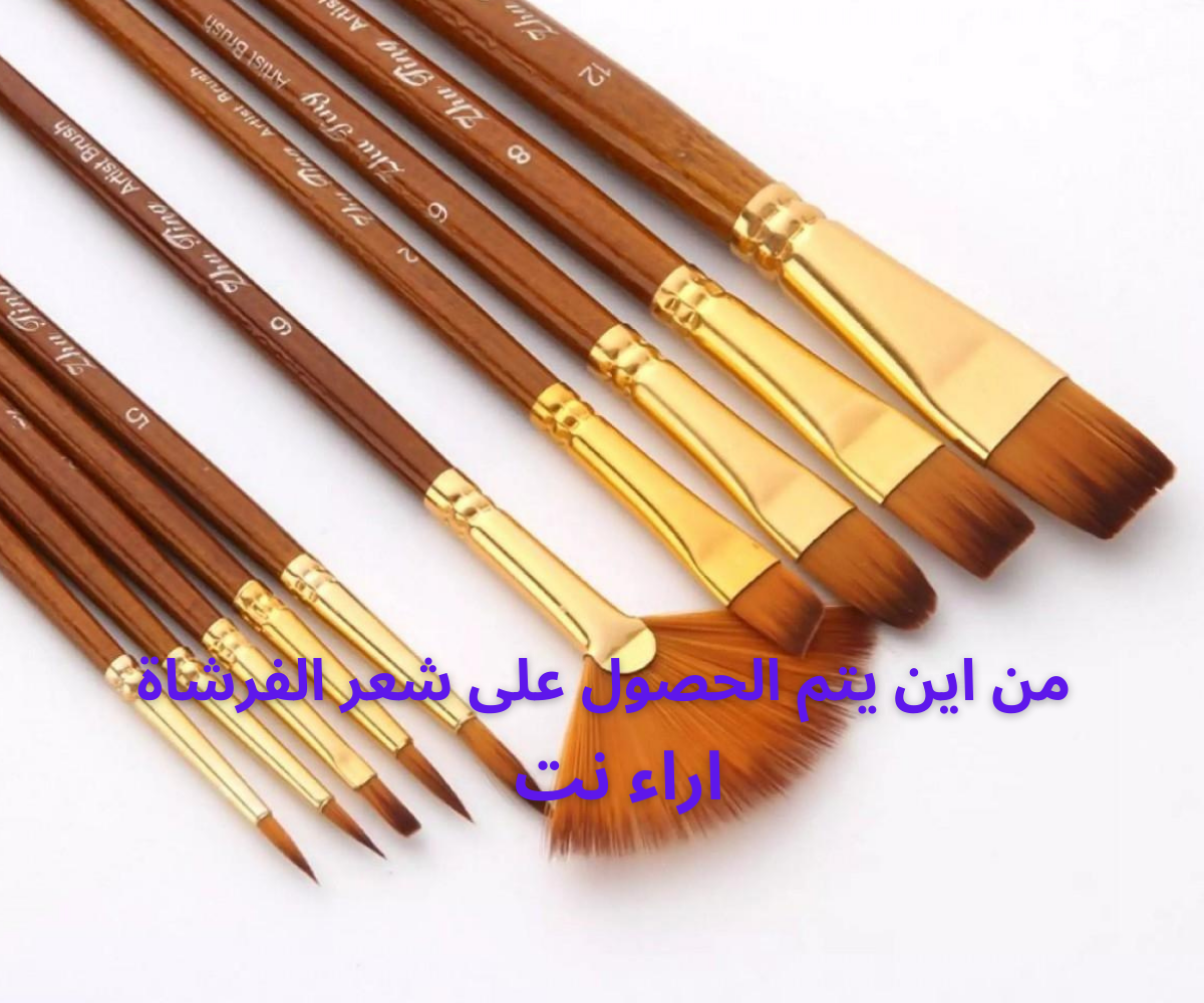 من اين يتم الحصول على شعر الفرشاة